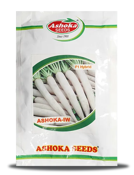 ASHOKA IVORY WHITE RADISH