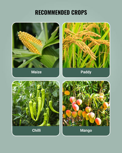 Ralligold GR Biofertilizer