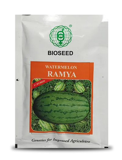 RAMYA WATERMELON