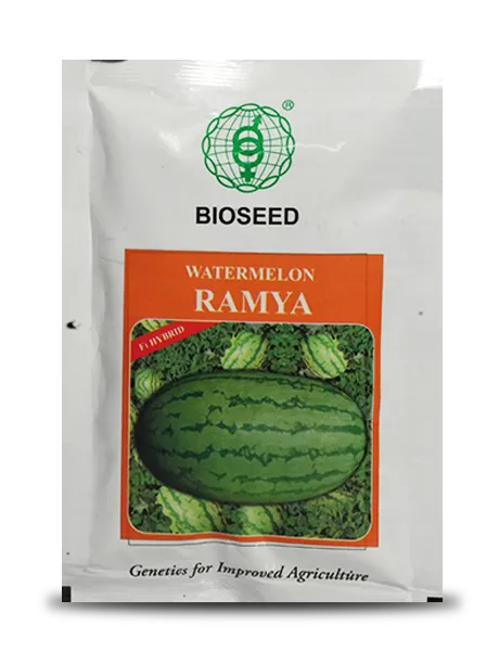 RAMYA WATERMELON