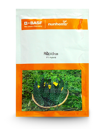 Rapid 128 f1 bitter guard seeds