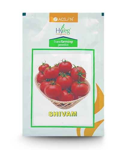 SHIVAM TOMATO ( शिवम टमाटर )