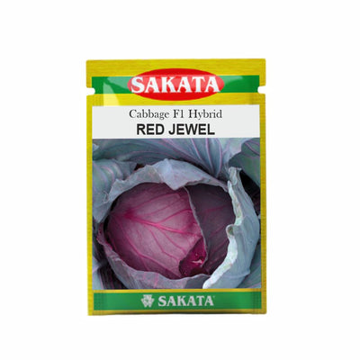 RED JEWEL CABBAGE