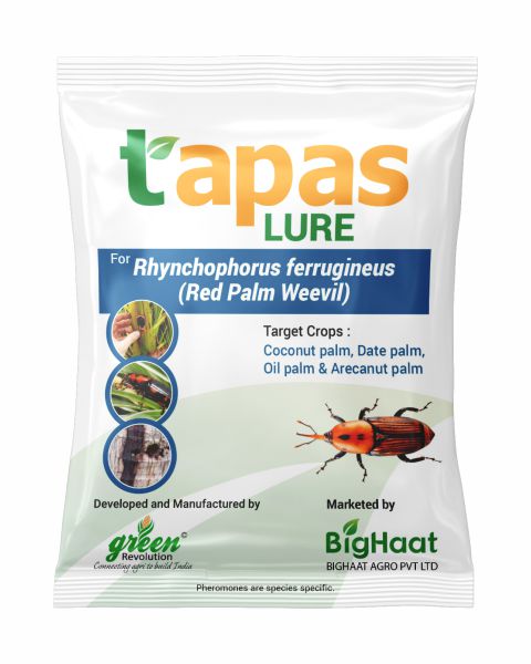 TAPAS RED PALM WEEVIL LURE