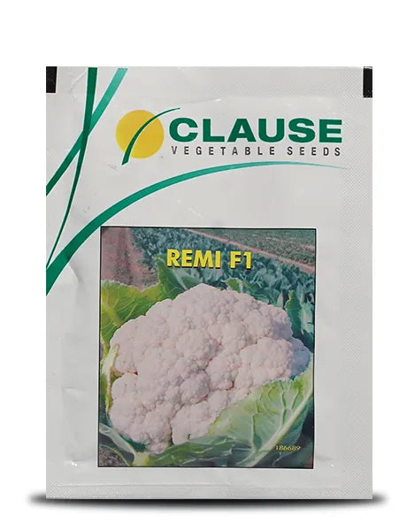 REMI CAULIFLOWER SEEDS