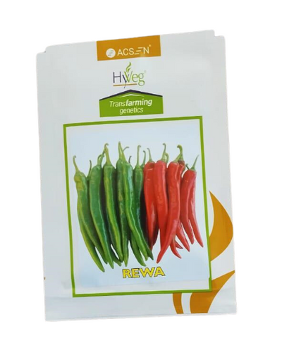 Rewa Chilli Seeds