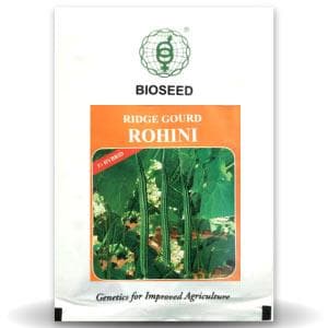 ROHINI RIDGE GOURD SEEDS (रोहिणी तुरई )