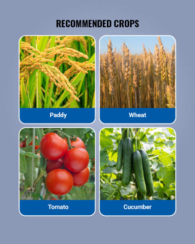 Roko Fungicide
