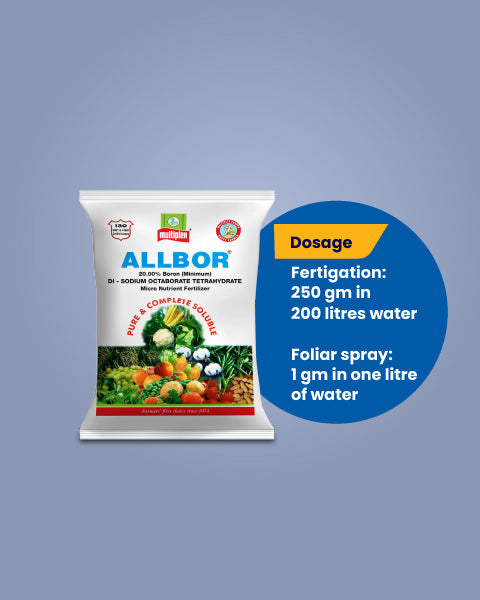 Roko Fungicide