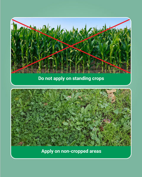 Roundup Herbicide