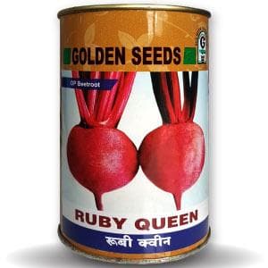 RUBY QUEEN BEETROOT (OP)