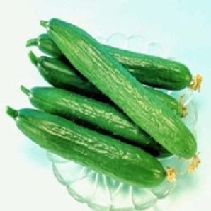 RUCHA CUCUMBER (ऋचा)