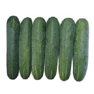 RUCHITA CUCUMBER