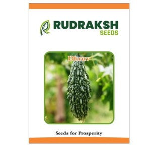 RUDRAKSH F1 DHRUV BITTERGOURD (MEDIUM) SEEDS