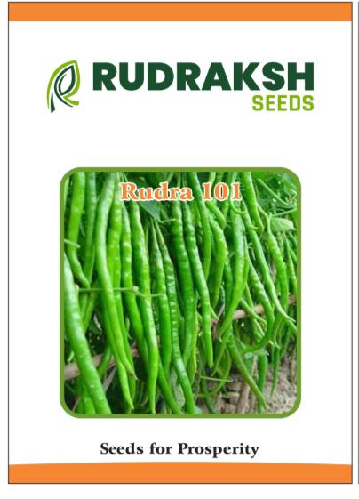 RUDRAKSH F1 RUDRA 101 CHILLI (GREEN) SEEDS