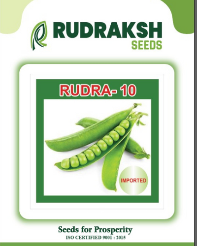 RUDRAKSH GREEN PEA (RUDRA 10)