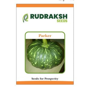 RUDRAKSH F1 PARKER PUMPKIN (MEDIUM,GREEN) SEEDS