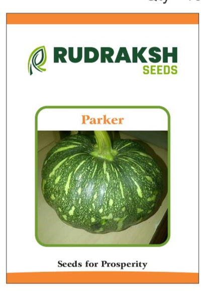 RUDRAKSH F1 PARKER PUMPKIN (MEDIUM,GREEN) SEEDS