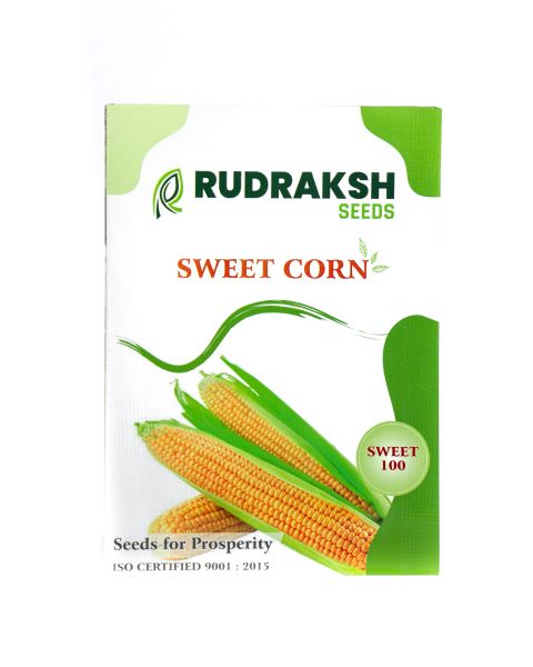 RUDRAKSH SWEET 100 SWEET CORN (GOLDEN YELLOW, CYLINDRICAL) SEEDS