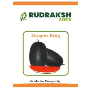 RUDRAKSH DRAGONE KING WATERMELON (OBLONG, CRIMSON RED) SEEDS