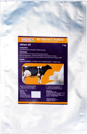 MEENAKSHI AGRO RUMISACC FORTE LIVE YEAST POWDER (MAFRUMI FORTE)