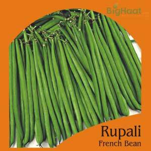 RUPALI FRENCH BUSH BEAN (OP)