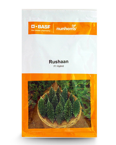 Rushaan f1 bitter guard seeds