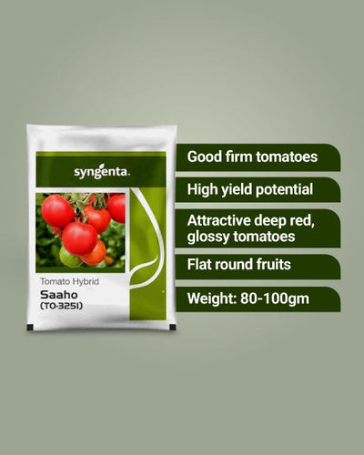 Saaho TO 3251 Tomato Seeds