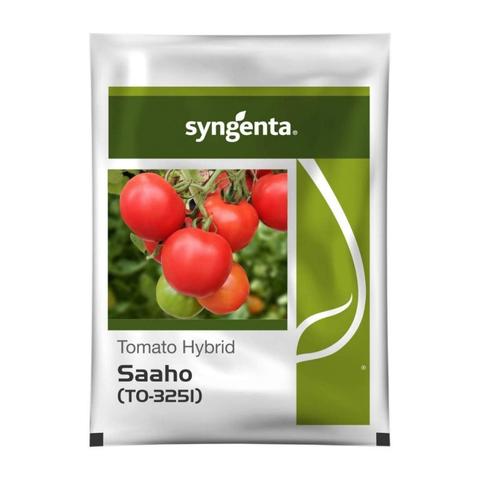 SAAHO TOMATO SEEDS [TO-3251]