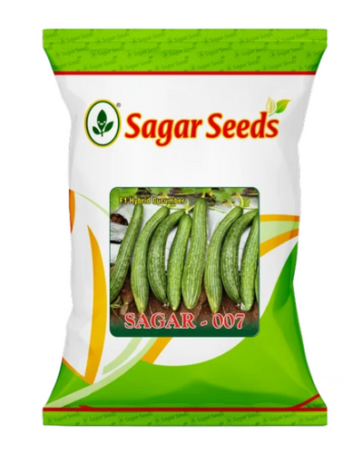 Sagar 007 F1 Cucumber Seeds