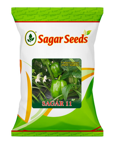 Sagar 11 F1 Capsicum