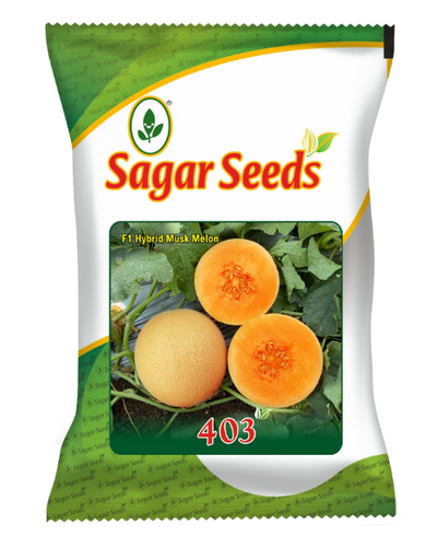 Sagar 403 Muskmelon Seeds