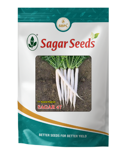 Sagar 47 F1 Radish Seeds