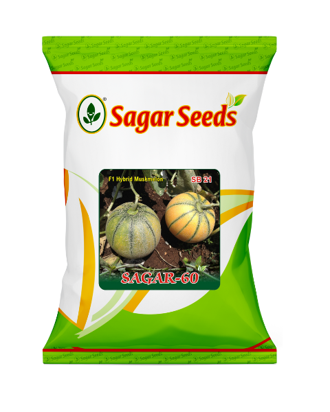 Buy Sagar -60 F1 Muskmelon Get Sagar Kavya F1 Cucumber FREE