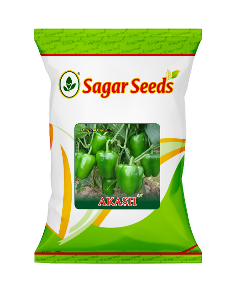 SAGAR AKASH F1 CAPSICUM