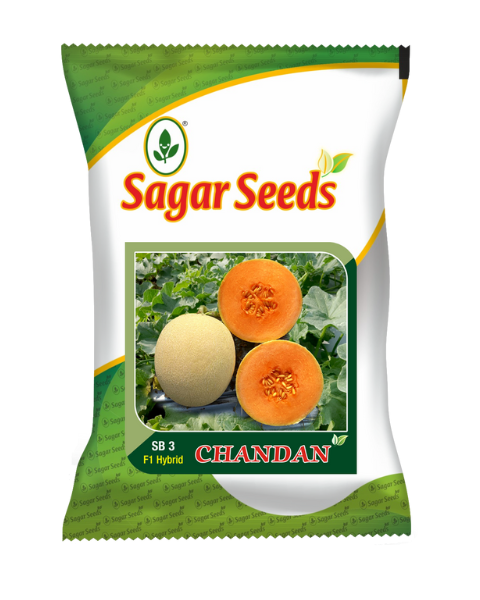 Buy Sagar Chandhan F1 Muskmelon Get Sagar Kavya F1 Cucumber FREE