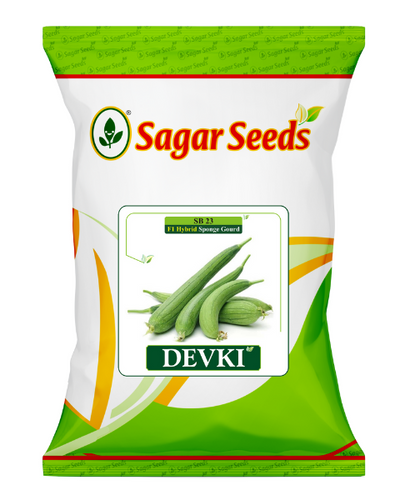 Sagar Devki F1 Spongeguard Seeds