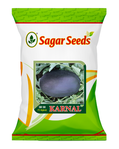 Sagar Karnal F1 Watermelon Seeds