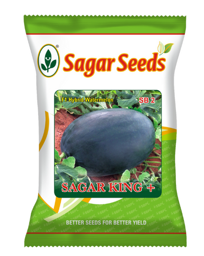 Sagar King plus F1 Watermelon