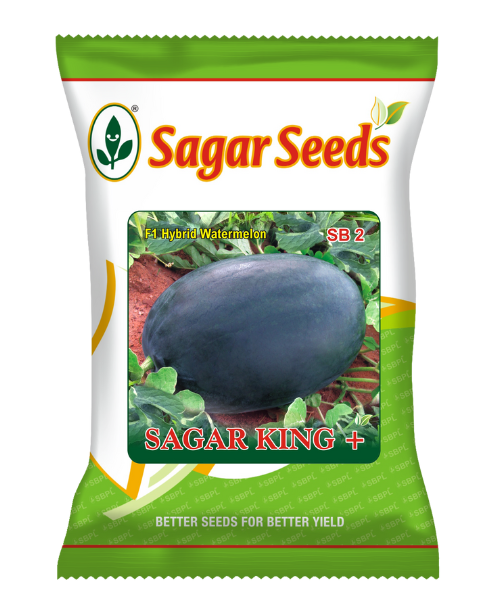 Buy Sagar King Plus F1 Watermelon Get Sagar Ridhima F1 Okra FREE