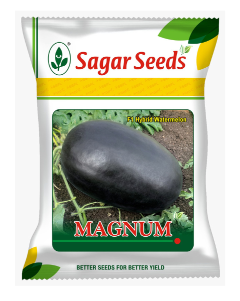 Sagar Magnum F1 Watermelon Seeds