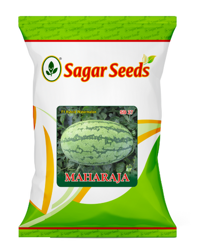 Sagar Maharaja F1 Watermelon