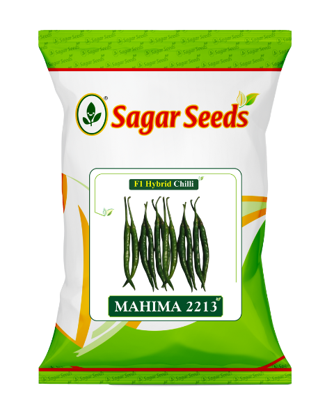 Sagar Mahima 2213 chilli Seeds