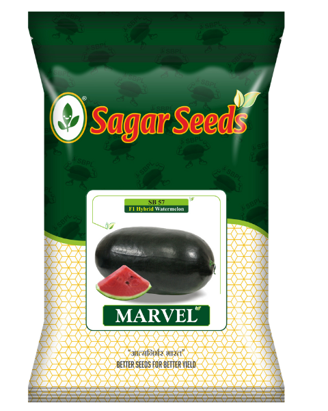 Buy Sagar Marvel F1 Watermelon Get Sagar Ridhima F1 Okra FREE