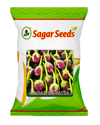 Sagar Ravaiya F1 Brinjal Seeds