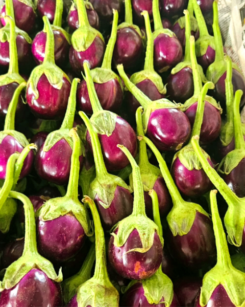 Sagar Ravaiya F1 Brinjal Seeds