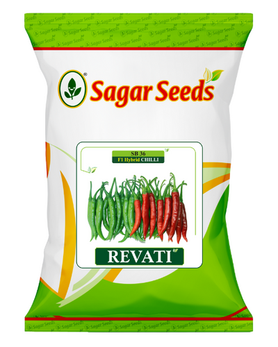 Sagar Revati F1 chilli seeds