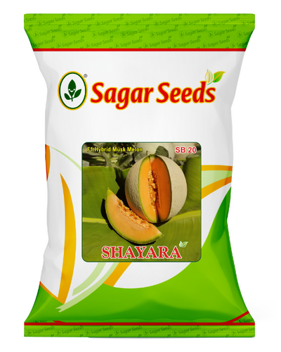 Sagar Shayara F1 Muskmelon Seeds