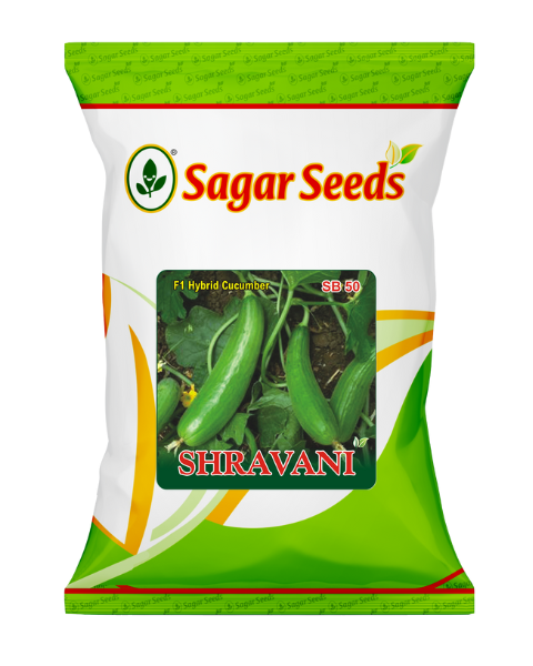 Sagar Shravani F1 Cucumber