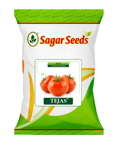 Sagar Tejas F1 Tomato